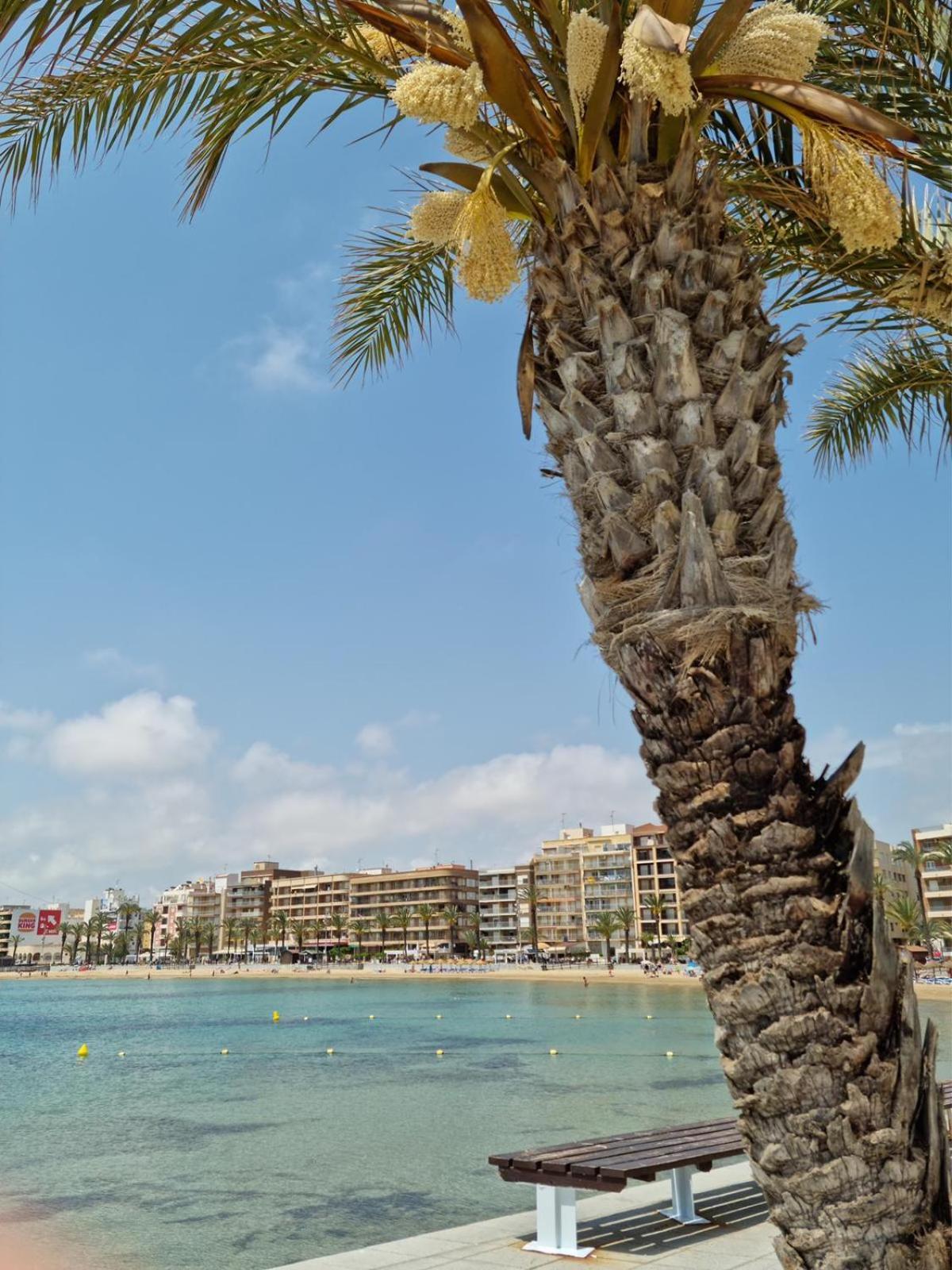 Apartamentos Palangres Torrevieja Exterior foto